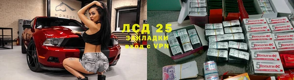 кокс Алексин