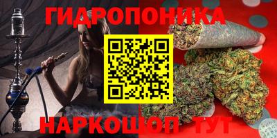 амф Коммунар